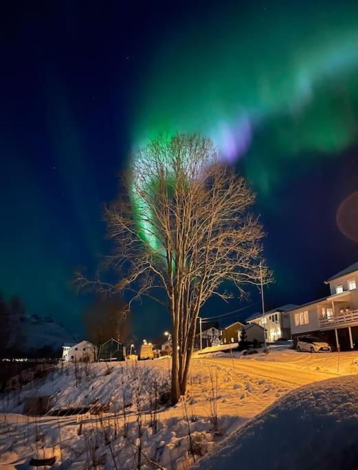 Leilighet I Nord Tromso Exterior photo